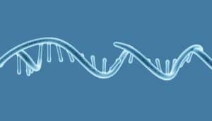 Was sind Nukleotide - alles über die DNA-Bausteine